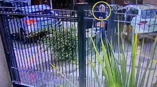 El impactante video del secuestro de un médico en la puerta de su casa de Haedo