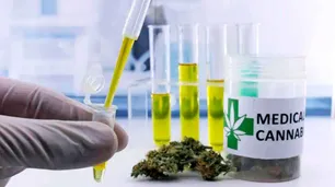 El Gobierno extendió a tres años la vigencia del certificado de autorización para el autocultivo de marihuana