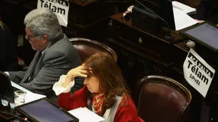 El debate por la despenalización del aborto adentro del recinto en fotos