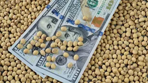 El dólar soja 3 terminó con una liquidación total de US$ 5.100 millones