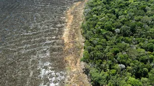 Selva amazónica corre riesgo de convertirse en una sabana seca