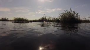 Cuidar los humedales para asegurar el futuro