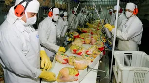 Vietnam reabrió su mercado a las exportaciones avícolas argentinas