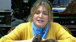 Diputados: el Frente de Todos presiona a la oposición para que expulse a Estela Regidor