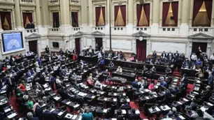 EN VIVO | Diputados: El oficialismo consiguió aprobar la Ley de Propiedad Privada con la restitución de la Ley de Tierras