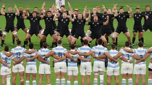 Aprendamos de Los Pumas