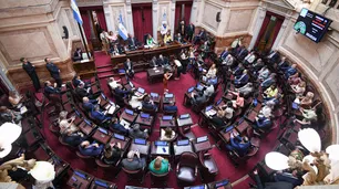 Diputados busca sesionar para no dejar las extraordinarias en cero