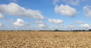 La recaudación por retenciones al campo se desplomó un 50%