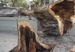 Fotos | Fuerte temporal azotó la Ciudad de Buenos Aires y la Provincia