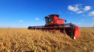 Boom del agro: “Estamos acercándonos a números históricos”