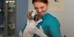 Veterinarios, mascotas y hogares seguros: el círculo de cuidado que propone RUS Pet Care