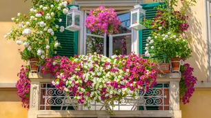 Un jardín en medio de la Ciudad: las 5 mejores plantas florales para decorar tu balcón