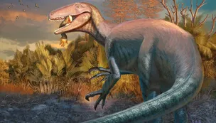 Descubren en Chubut un fósil de dinosaurio carnívoro que habría sido uno de los últimos en extinguirse