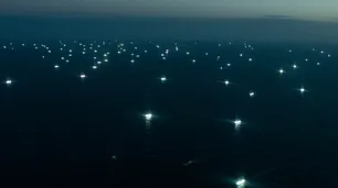Presentan amparo ambiental para frenar "pesca ilegal y depredadora" en el Mar Argentino