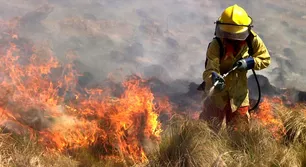 El Servicio Meteorológico Nacional emitió una alerta por el riesgo extremo de incendios forestales en 12 provincias