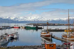 De Ohio a Islandia: hallaron a dos niños desaparecidos a más de 4.800 kilómetros de su hogar