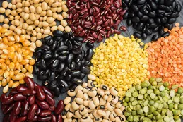 El Gobierno financia proyectos de alimentación saludable