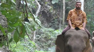 Contraste entre las cuasimonedas y el lujoso paseo en elefante del hijo de un ministro