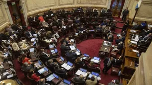 Mercosur-UE: el Senado ratificó el acuerdo tras 26 años