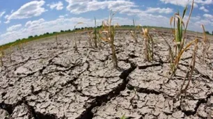 La sequía avanza y genera preocupación en el campo: "Se agravó la situación" dijo el SMN