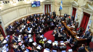 Comienza el tratamiento de Ley de Góndolas y reciben pliegos de embajadores
