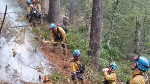 Incendios: ahora el foco principal está en el Parque Lanín