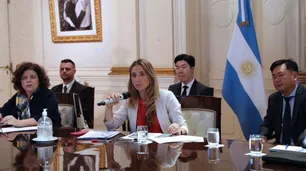 Carla Vizzotti y Cecilia Nicolini viajaron a México para asegurar la llegada de vacunas