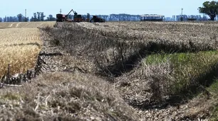 El ingreso de camiones de trigo al gran Rosario cayó 80% este ciclo por la tremenda sequía