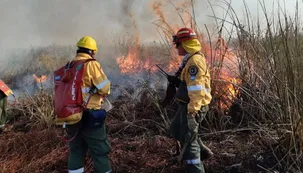 El intendente de Rosario se quejó por la inacción del Estado Nacional en los incendios