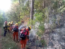 Alerta por incendios en Misiones: más de 70 hectáreas afectadas y casi 50 intervenciones