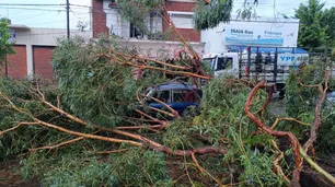 Un temporal de lluvia y granizo arrasó Miramar: hubo un fallecido, destrozos y cortes de luz masivos