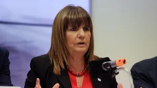 Patricia Bullrich explicó su frase de los guanacos en Chubut y volvió a criticar a "Nacho" Torres