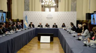 Neurociencia y neuroderechos, ejes del seminario internacional en la Cámara de Diputados