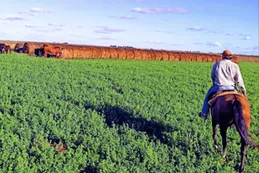 El Gobierno homologó la primera paritaria rural bajo la reforma laboral