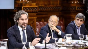 Santiago Cafiero dejó importantes definiciones en el Senado