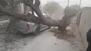 Video: fuerte temporal en San Luis similar a un tornado destrozó la ciudad