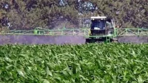 Herbicidas: preocupación en Misiones por la prohibición del uso de glifosato en la producción de yerba y té