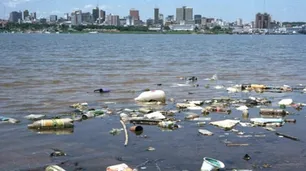 Qué es la microbiología ambiental, la llave al futuro