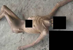 Denuncian la matanza "industrial" de 11.000 presos en Siria