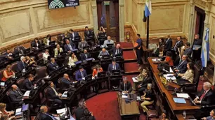Reforma del régimen de Zona Fría: uno por uno, cómo votó cada senador
