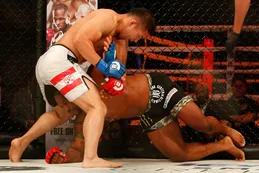 Los tratamientos con cannabis ganan terreno en circuitos de MMA