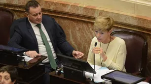 García Larraburu votó por el NO y culpó al "cínico Duran Barba"