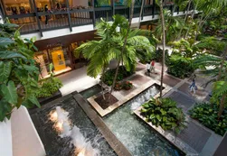 Bal Harbour Shops: cómo es el centro comercial más lujoso de Miami
