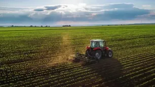 Sector agropecuario durante el verano: “Argentina está teniendo una campaña que fue atravesada por todo”