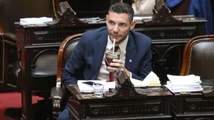 Damián Arabia: "Me cuesta entender por qué algunos senadores votarían distinto a lo que votó su partido en Diputados"