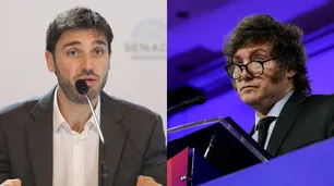 Día 80: Milei acelera, la justicia lo frena