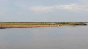 Salió a pescar sin saber nadar y nunca regresó: buscan desesperadamente a un joven en el Río Paraná