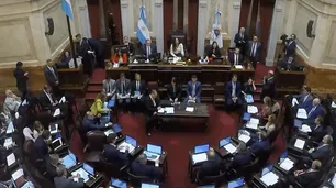María José Lubertino sobre la Ley Bases: “Esperamos que desde el Senado puedan evitar males mayores”