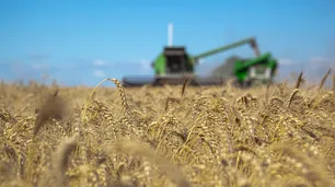 Impuestazo al campo: según un estudio, en junio el Estado Argentino se llevó el 74,6 % de la renta agrícola