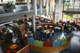 Microsoft vincula remuneraciones a avances en diversidad